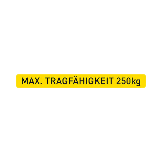 Sticker "Maximum load capacity 250 kg"